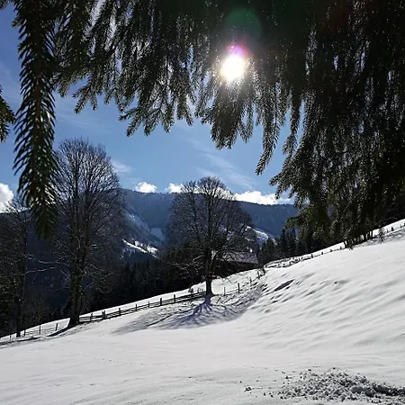 Die Morgensonne *